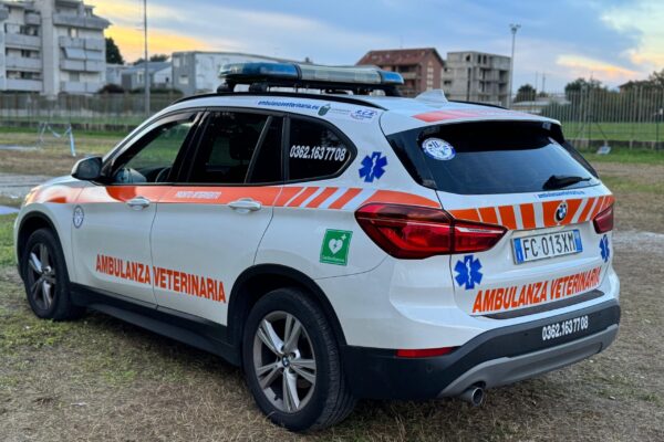 foto-ambulanze-1