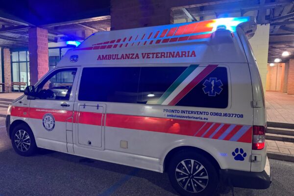 foto-ambulanze-2