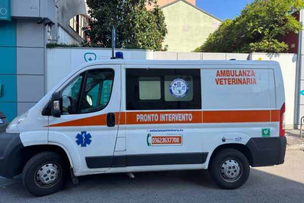 foto-ambulanze-7
