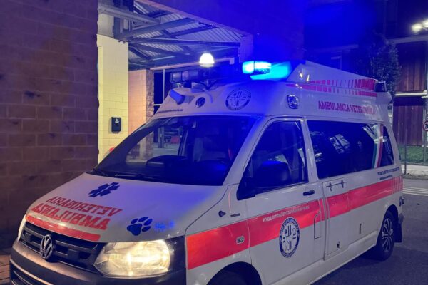 foto-ambulanze (8)